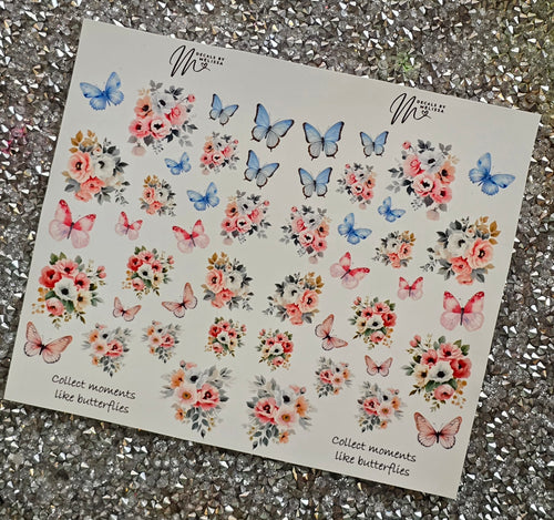 Collect moments like butterflies