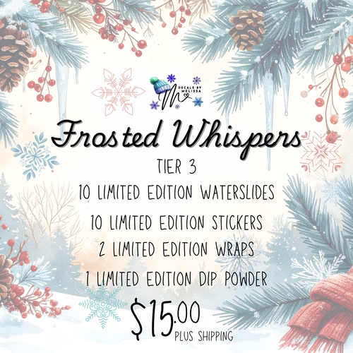 December 2025 Subscription Bag Tier 3