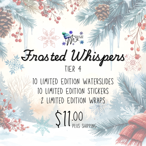 December 2025 Subscription Bag Tier 4