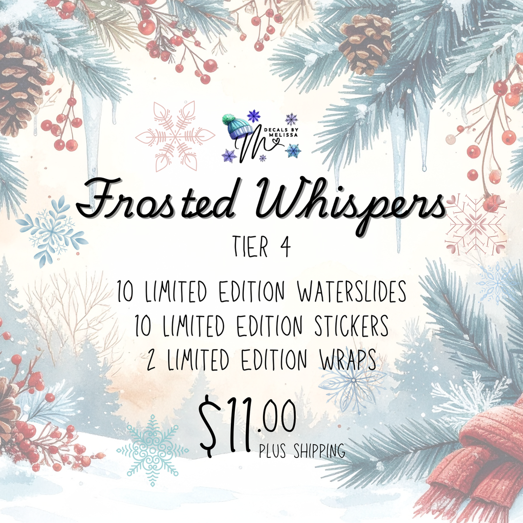 December 2025 Subscription Bag Tier 4