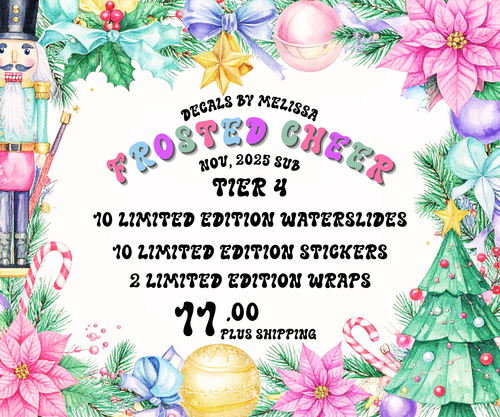 November 2025 Subscription Bag Tier 4