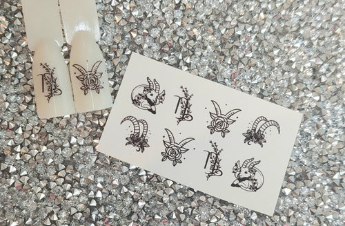 Capricorn (12/22-1/19)