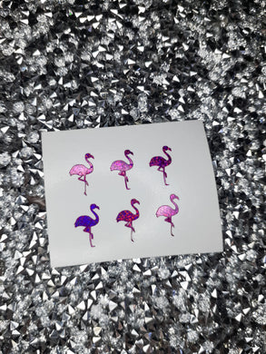Raspberry holo Flamingo