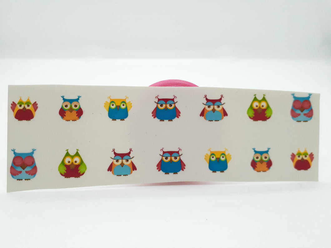 Spunky Owls